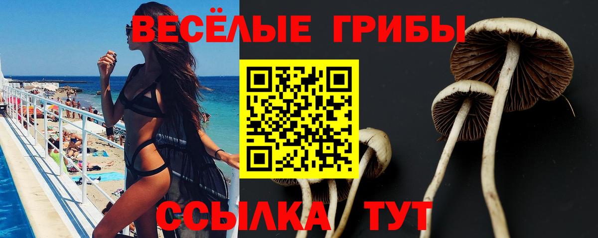 Псилоцибиновые грибы ЛСД Ялуторовск