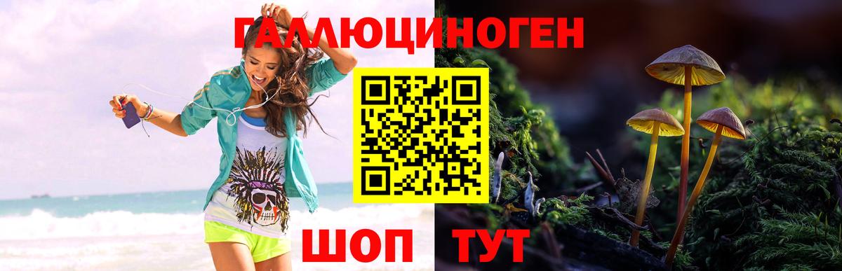 Галлюциногенные грибы MAGIC MUSHROOMS  Вход с VPN  Псилоцибиновые грибы прущие грибы  Ялуторовск 